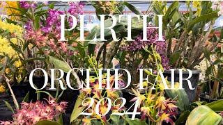 Perth Western Australia Orchid Fair: September 2024