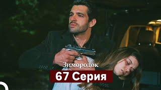 Зимородок 67 Cерия (Русский дубляж)