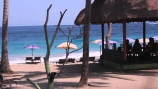 Surfmania surf camp in Bali/ Серф лагерь на Бали