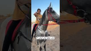 ليش عرق الفرس جاي ابيض #خيل #جود #حصان #horse #خياله #فرسان #فرس