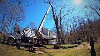 Removing MASSIVE Tree Dangerously Close To The Customers Home