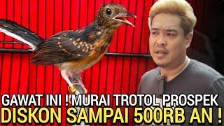 PUSAT TROTOLAN ! DISKON SAMPAI 500RB BONUS ONGKIR APA NGGAK PENGEN DI ALESHA MURAI BATU JAKARTA