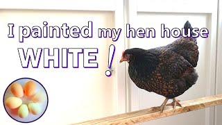 No red mites! Lots of eggs! Paint inside your hen house - WHITE !