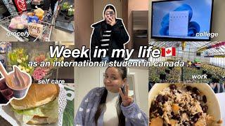 Week in my life in canada as a student