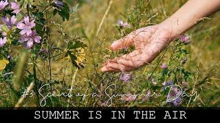 [SUB] #3. SCENT OF A SUMMER DAY | A day in my life in the Netherlands | Life in the countryside 2021