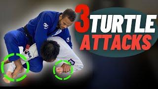 3 Ways to Finish From Turtle Position ( Every White Belt MUST Know)