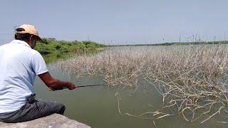 Amazing fishing ||  catching big indian rupchand(Redbilled) fishes