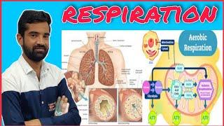 Respiration | शवसन | By Pawan Sir | #Biologhy