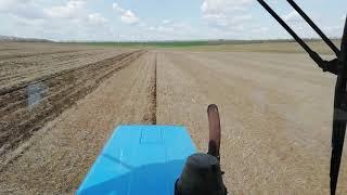 Посевная кукурузы  No-Till сеялка Упс-8.