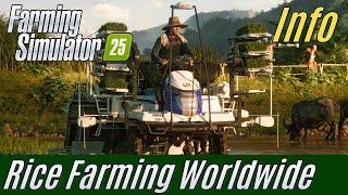 LS25: Reisanbau weltweit (Info-Video)