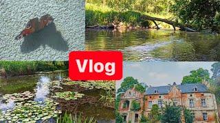 VLOG. День в Польше