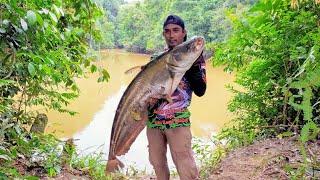 REKOR MANCING IKAN TAPAH TERBESAR || CASTING MONSTER TAPAH SUNGAI KALIMANTAN