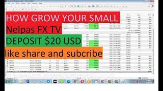 how to grow small accnt  nelpas fx tv