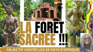  Les secrets cachés de la Forêt Sacrée de Kpasse #benin #ouidah #vaudou #vodou SOUS-TITRES FR