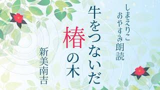 【睡眠朗読】新美南吉「牛をつないだ椿の木」〜おやすみ前や作業用BGMにも【元NHK フリーアナウンサー島永吏子】