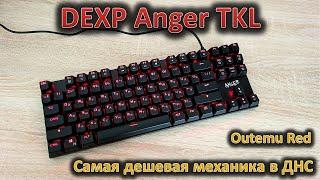 Самая дешевая механика в ДНС! Обзор механической клавиатуры DEXP Anger TKL