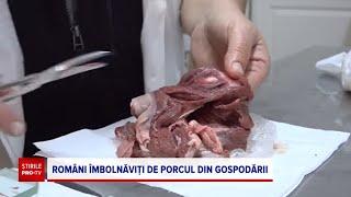 De ce trebuie să facem analiza de trichineloză după sacrificarea unui porc