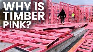 Why is New Zealand Timber Pink???