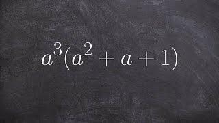 Apply distributive property to write a polynomial in standard form the identify degree