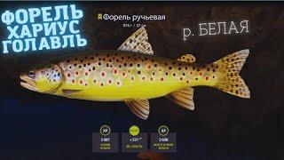 Русская рыбалка 4 (РР4) р. Белая ФОРЕЛЬ Хариус Russian fishing 4 (РР4) p. White Grayling