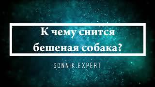 К чему снится бешеная собака - Онлайн Сонник Эксперт