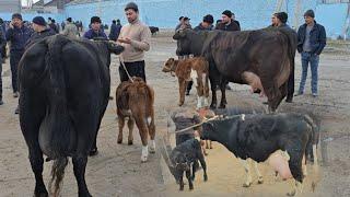 Marg'ilon Kombinat mol bozori Mazza Bozor Bo'ldi Narxlari bilan tanishing 09.03.2025