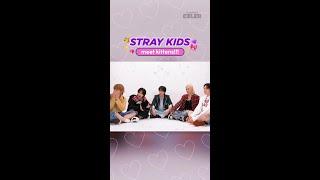 "Oh My Goodness" Stray Kids Kitten Interview is coming out tomorrow 