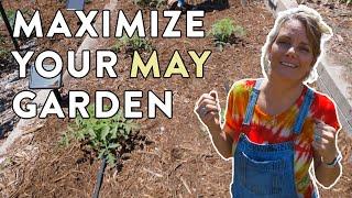 May Garden Tour - What's Growing This Time of Year?