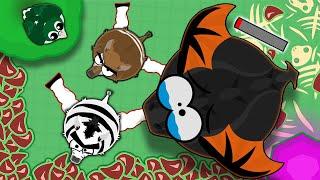 The Legendary Zebra Trolling is Back in Mope.io | Zebra Okapi Skin Destroys Everyone in Mope.io