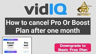 How to Cancel Vidiq Subscription