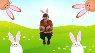 Mrs Bunny | hey dee ho music | Children's Song