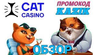 Cat казино подробный обзор  Отзывы, вывод, регистрация в онлайн казино CAT