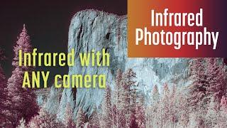 Shoot & Edit Infrared Photos with ANY Camera