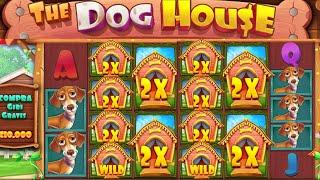  Big Win in The Dog House Megaways - Bonus Round Bonanza!