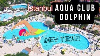 Aqua Club Dolphin / Havuz / İstanbul / 4K