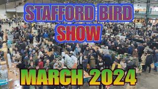 Stafford Spring Bird Show - March 2024