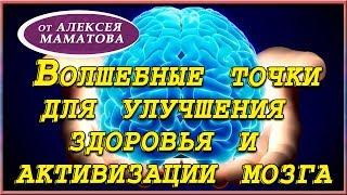 Биологически активные точки.  Улучшаем здоровье, активизируем мозг. Практика от доктора Маматова