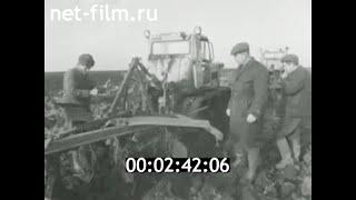 1974г. совхоз Комсомолец Тамбовский район Тамбовская обл