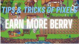 Pixels Tips and tricks :  How you can earn more berry || Follow the basic strategies