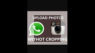 how to use a full size image as your whatsapp profile picture without cropping!