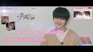 [ RUS SUB | РУС СУБ ] ВСЕ О "Cle : LEVANTER" | STRAY KIDS