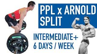 Push Pull Legs x Arnold Split Workout Plan (Fully Explained)