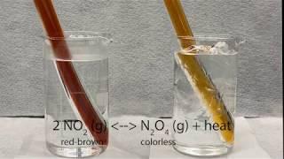 Effect of Temperature on conversion of NO2 to N2O4 (Le Chatelier's Principle)