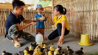 Duyen and Phong finished pouring the floor. They bought ducks to raise on the farm. Daily Freedom
