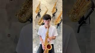 Weissenberg A-500 GL Cosmos Alto Sax Review by Pluam Kitsada | Saxsociety SaxRoom Thailand Cilp02