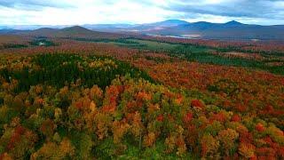 Drone Captures Beautiful Autumn Landscape