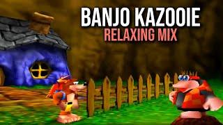Relaxing Video Game Music | Banjo Kazooie Mix