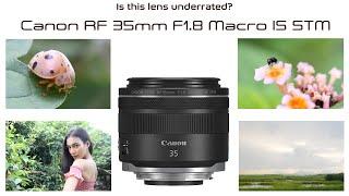 Usage Review Canon RF 35mm F1.8  Macro IS STM Lens | Know That Gear