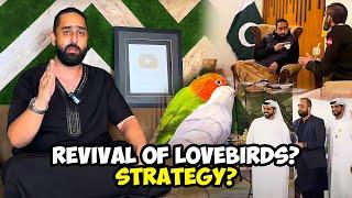 Revival of Lovebirds? Strategy?