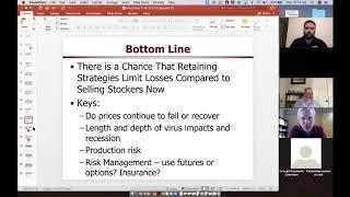 A Current and Future Look at Cattle Markets by Texas A&M AgriLife Extension